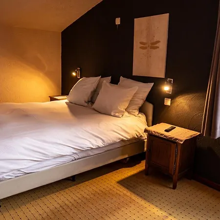Otel Au Coeur Bion 2*