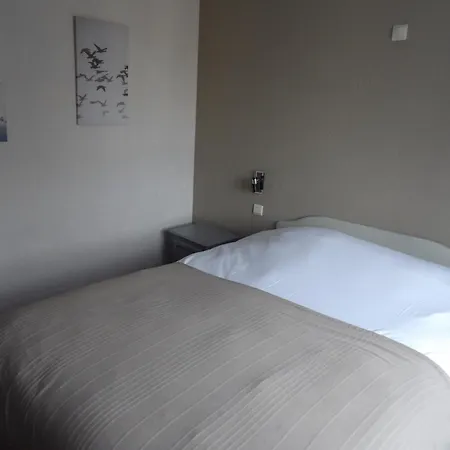 Au Coeur Bion Hotel